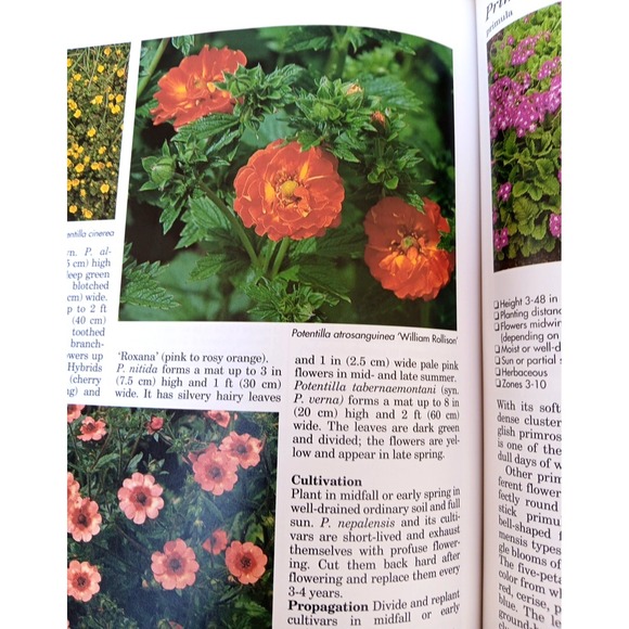 A–Z of Perennials – Reader's Digest Successful Gardening Series 1990, Hardcover - Picture 8 of 14